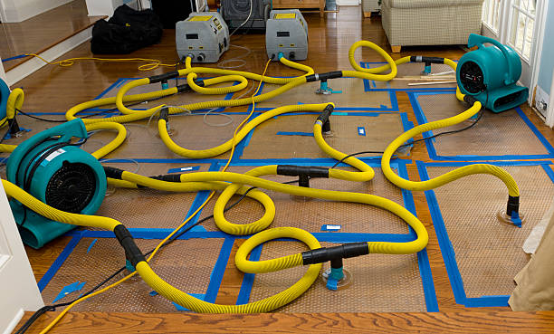 Professional Burst Pipe Water Damage technician working in Elwood, IN